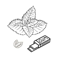 MENTA